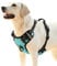 HEELE Hundegeschirr, No-Pull Hundegeschirr, Brustgeschirr für Mittelgroße Hunde, Weich Atmungsaktiv Einstellbar Reflektierend Hundegeschirr Anti Zug mit Gepolstert Griff, Türkis, XL