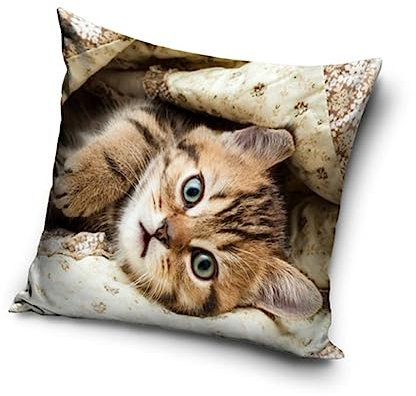 Katzen Baby Motiv Kissenhülle Kissenbezug 40x40 cm (PD221152)