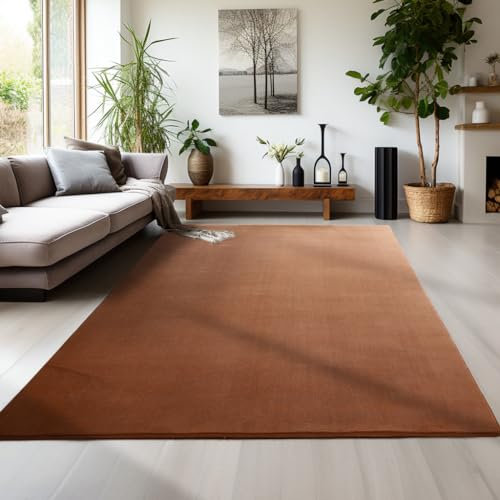 Carpettex Teppich Wohnzimmer Anti-Rutsch Teppich Waschbar in Waschmaschine 60 x 110 cm Teppich Läufer Braun - Moderner Flauschiger Kurzflor Teppich Extra Weich Schlafzimmer küchenläufer Flur Teppich