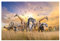 Safari-Tierwelt Puzzle, 500 Teile, 46 x 28 cm, Erwachsene Puzzle mit Elefanten, Giraffen und Tigern