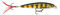 Rapala Unisex-Adult X-Rap Locken, Live Barsch,6cm