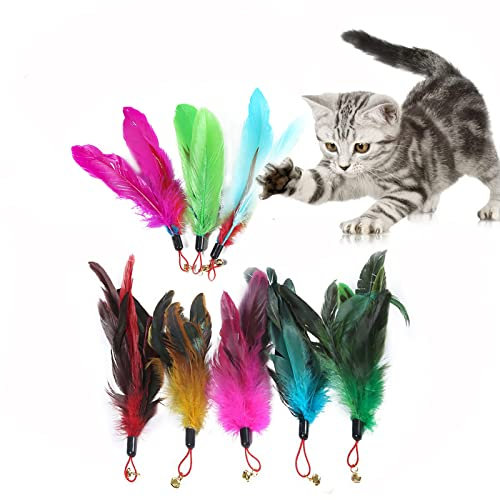 SHULLIN 8 Stück Interaktive Katzen Spielzeug Ersatzfedern Katzenspielzeug Katzenspielzeug Federn Feder Anhänger Feder federspielzeug Katze Wurm Teaser für Katzenspielzeug (Mehrfarbig)