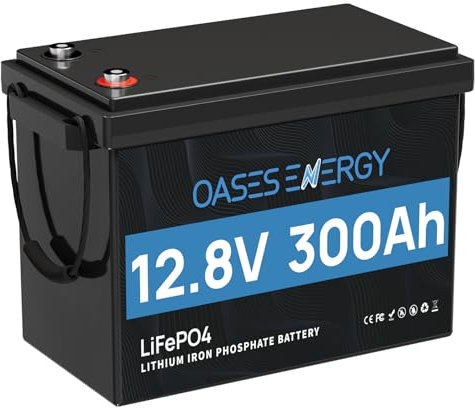 Oasesenergy Batterie Lithium 12V 300Ah Mini, Batterie LiFePO4 Rechargeable BMS 200A Intégré, 4000~15000 Cycles, Batterie pour Caravanes, Bateau, Camping-car, Système solaire, Hors-Réseau,ect.