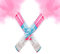 Set di 2 cannoni fumigeni e polvere Holi biodegradabili Gender Reveal | polvere rosa | accessorio ideale per annuncio di sesso neonata o ragazzo | perfetto per feste e celebrazioni