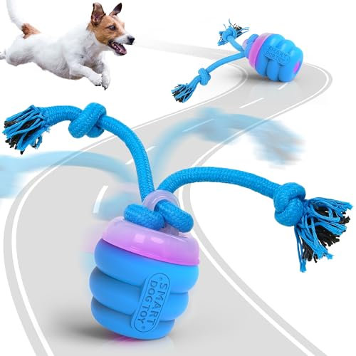FUGODIWI Interaktives Hundespielzeug, Elektrisch Hundespielzeug Ball, Magic Ball Hund für Welpen und kleine Hunde, Bewegungsaktiviert, USB-Aufladung (Blau)