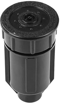 Conservazione per chiavi – Nascosta testa di, organizer per chiavi, facile accesso per oggetti di valore, carte di denaro, gioielli