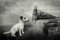 1art1 Hunde His Master's Voice, Jack Russell Terrier Selbstklebende Fototapete Poster-Tapete 180x120 cm