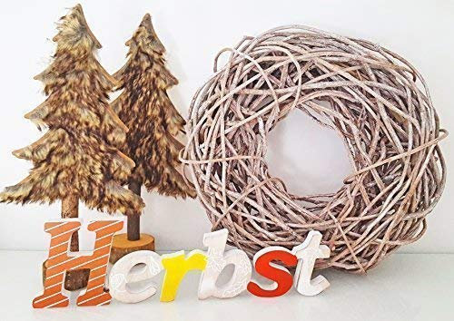 CleanPrince HERBST Schriftzug aus Holz 40 cm lang Herbst Herbstdeko 400x120mm Dekoration Schrift Holzdeko Deko warme Erdfarben Orange Braun Gelb Beige Terrakotta frei stehend, Lieferung ohne Deko