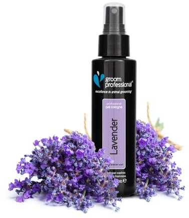 GROOM PROFESSIONAL Lavender Hundeparfüm - Hundeparfüm-Spray - Frisches Duftspray für Hunde Gegen Geruch - Entspannender Lavendelduft - Perfekt für Zwischen den Waschgängen, 100ml