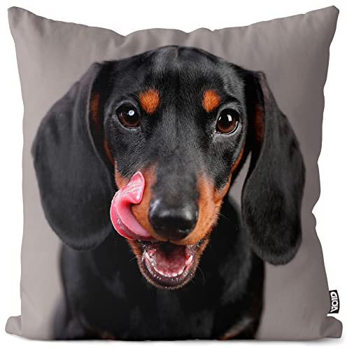 VOID Dackel Kissenbezug Kissenhülle Sofakissen Kissen Deko Outdoor-Kissen Dekokissen, Kissen Größe:50 x 50 cm