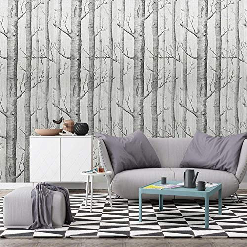 Tapeten Birkenwald 150x100cm Vlies Tapeten Moderne Wanddeko Wandtapete xxl Design Wand Dekoration Wohnzimmer Schlafzimmer Büro Flur Landschaft
