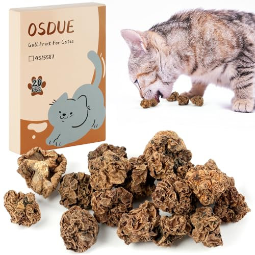 OSDUE Frutta Erba Gatta, Semi Erba Gatta Utilizzato per Aumentare la Vitalità e L'appetito dei Gatti e per la Pulizia dei Denti Palline di Erba Commestibili Gatta e Frutti Biliari