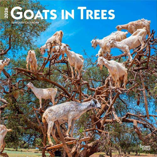 Goats in Trees – Ziegen in Bäumen 2026 – 16-Monatskalender: Original BrownTrout-Kalender [Mehrsprachig] [Kalender] (Wall-Kalender)