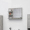 homiuse 60x10,5x45 cm Badspiegel Spiegel mit 3 Regale Rechteckiger Wandspiegel Badezimmerspiegel Mirror Badezimmer Spiegel Bad Stilvolle Duschspiegel Betongrau Holzwerkstoff Acryl