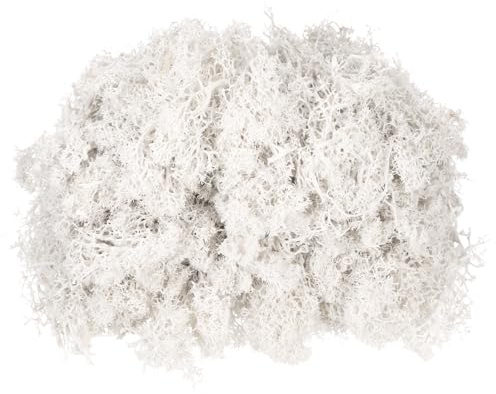 QUARKZMAN 3 Oz Muschio Di Renna Conservato, Muschio Artificiale Decorativo Bianco Per Piante In Vaso Artigianato Interno Licheni Centrotavola Decorazione