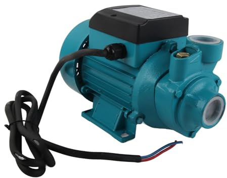 FTVOGUE Pompe Solaire Portative à Courant Continu, en Laiton et en Acier Inoxydable, Tête Haute 25m, 230W pour l'irrigation des Terres Agricoles et la Fontaine de Pelouse