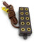BELI-BECO 3946 Verteilerleiste 5-Fach mit Kabel und Stecker - 8mm Abstand - 3,5V (Braun)