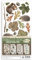 Stamperia - Paper Cut Outs for Scrapbooking, Albums, Card Making, Bullet Journalling and More, Acid Free, Double Sided, 4 Sheets, Perfect for Hobbies, Crafts, and Gifting (Forest)