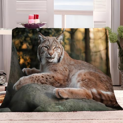 Waldtiere Luchs Kuscheldecke Fleecedecke Braun Flauschig Decke Warme Weich Sofadecke, Wohnzimmer überwurfdecke Couchdecke, Wohndecke für Erwachsene Kinder Baby 70x100 cm
