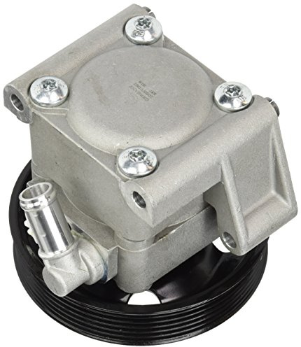 ESEN SKV Hydraulikpumpe, Lenkung 10SKV091 | Kompatibel mit: FORD C-MAX, FOCUS C-MAX, FOCUS II, FOCUS II Cabriolet, FOCUS II Stufenheck, FOCUS II Turnier, VOLVO C30