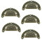 5 Muschel-Griffe Schubladengriffe Möbelgriffe Muschelgriff bronze Größenwahl, Größe:M = 68 x 36 x 12 mm