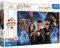 Junior Super Shape XL Puzzle 160 Teile - Harry Potter