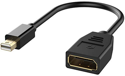 Rankie Adaptateur Mini DisplayPort vers DisplayPort, 4K, Noir