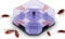 Non-Toxic Cockroach Bait Trap Catcher, Automatic Roach Bug Killer Trap Crickets Indoor Household Pest Control Tool