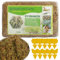 IXYHKB Sphagnum Moos für Pflanzen, 500g Spaghnummoss für Orchideen, Sphagnum Moos Blumenerde, Orchideensubstrat Spagnummoss mit Gelbsticker Trauermücken, Organisches Torfmoos für Orchideen