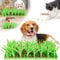 Silicone Grass Mat for Cats, Green Grass Silicone Slow Feeding Mat, Green Grass Silicone Slow Food Mat, Cat Grass Mat Food Toys, Cat Feeding Mat, Silicone Cat Grass Mat for Indoor Cats