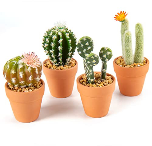 Set mit 4 Kunstpflanze Kakteen in Terrakotta-Töpfen, kleine Steine füllen Mini dekorative künstliche Sukkulenten im Topf Kunstblumen für Home Office Raumdekoration