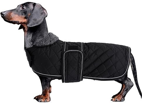 MOREZI Dackel Hund Winterjacke. wasserdichte Hundejacke. Mit Wolle, inneren und verstellbaren Schultergurten. Hundekleidung im Freien-Schwarz-M