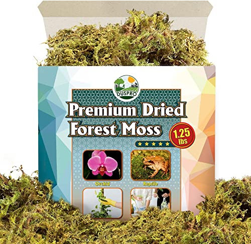 DUSPRO Dried Forest Moss for Potted Plants Orchid Moss Potting Mix Ideal Indoor Moist Repotting Orchid, Terrarium Decor, Natural Reptile Vine (16 QUART)