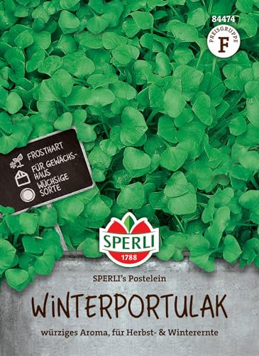 Sperli Winterportulaksamen SPERLI's Postelein - Kräutersamen für Wintersalat, Kübelgeeignet, Wuchshöhe 15-25 cm, Portulak Samen