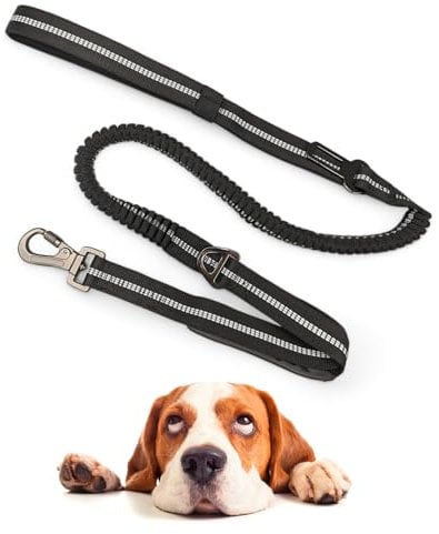 Bungee Dog Leash, Anti-snatch leash with locking Carabiner, with Dog Car Seat Buckle, Bungee and Padded Handle for Small, Medium and Large Dogs (Black), 3-5 FT Highly Reflective Threaded Rope