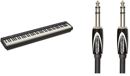 Roland FP-10 88-Note Digital Piano with Black Series Stereo Cable 1m