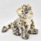 HANSA - Plüschtier Schneeleopard, 20 cm H/20 cm, Plüsch, Tier, Kinder