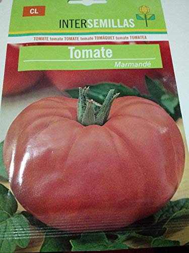 Potseed Marmande Große Tomatensamen ca. 1.200. Lycopersicon esculentum