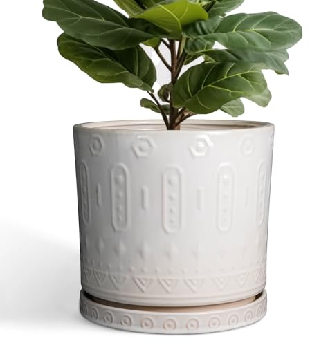 Eightpot Grand pot de fleurs rond en céramique de 30,5 cm pour intérieur et extérieur avec trou de drainage et soucoupe, blanc