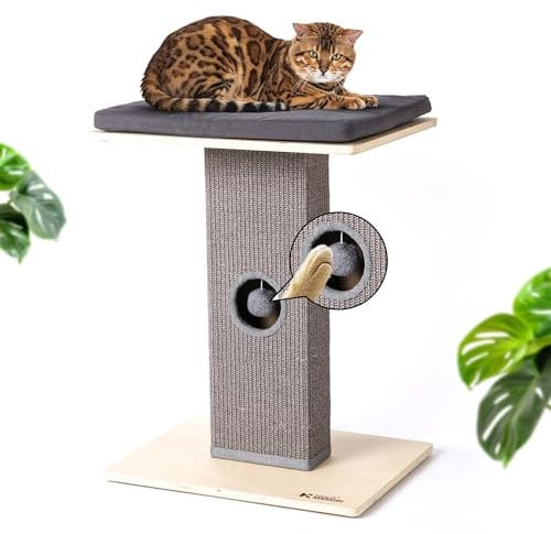KRAUS MAGAZIN Arbre à chat en bois de bouleau et sisal véritable | Fermeture à bouton & antidérapant | 65 cm de hauteur avec coussin en lin | Arbre à chat design avec balle de jeu – Pour petits et