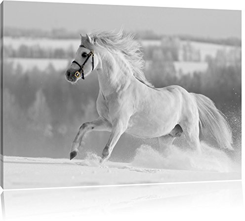 Pixxprint Wunderschönes weißes Pferd auf Schneewiese B&W, Größe: 60x40cm, Leinwandbild, fertig gespannt, Wandbild, Dekoration, Kunstdruck, kein Poster