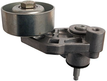 3RG 13219 Riemannscher Gurt, Gurt Poli V