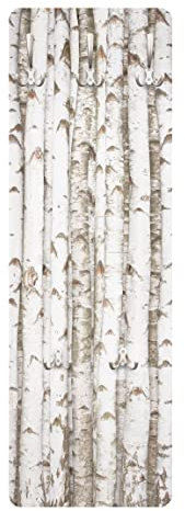 Bilderwelten Garderobe Weiß - Holzoptik No.Yk 15 Birkenwand - Landhaus, Größe HxB:105cm x 34cm