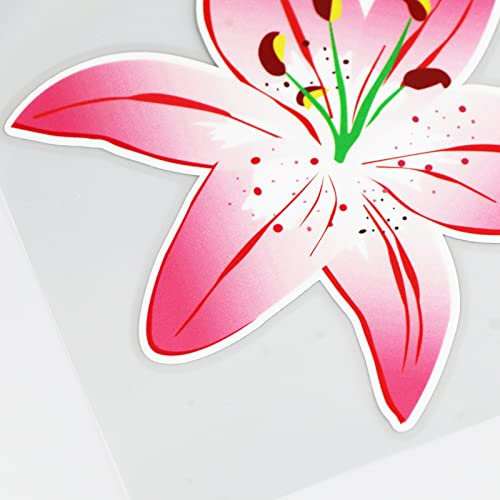 PMSMT Auto-Kratzer-Aufkleber, Motiv: Lilie, Rosa