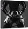 Pixxprint Sexy Domina im Latexkostüm, Größe: 60x60 cm, Leinwandbild Quadratisch, Wandbild, Kunstdruck, fertig bespannt