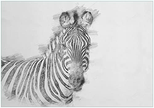 Wallario Vliestapete Fototapete Zebra in schwarz weiß - Bleistift Zeichnung - Wandtapete Größe: 300 x 210 cm
