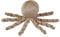 Nattou Cuddly Octopus LAPIDOU, 7,5 cm, Lapidou Mocha, Mokka