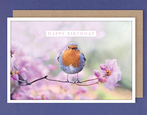 AvanCarte Geburtstag Karte Text Grußkarte Umweltfreundlich Rotkehlchen 16x11cm