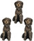 Resin Dog Rabbit Tortoise Shaped Decorative Plant Risers for Pots, Pot Feet for Planter Pots, Cute Animal Shaped Resin Pot Toes Planter Feet, Planter Elevator to Improve Airflow Drainage(Dog/6pcs)