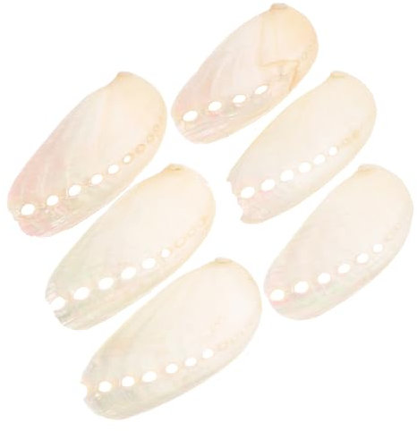 Milisten 6 Pièces Coquille D'Aménagement Paysager Petits Coquillages Coquille D'Ormeau De Plage Décoration De D'Aquarium Ornement Marin Décorative D'Ormeau